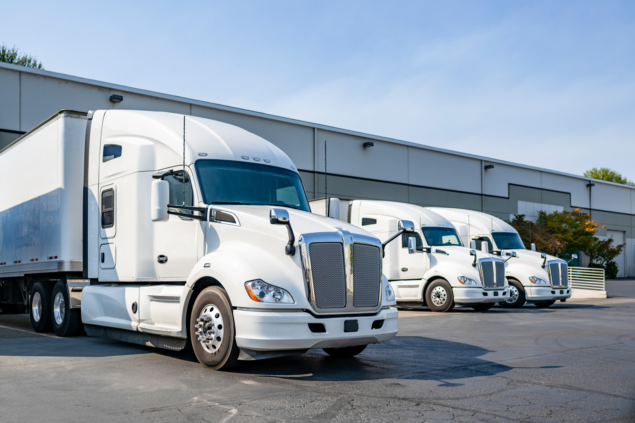 Fleet of Canadian Preferred Moving trucks lined up and ready for service.