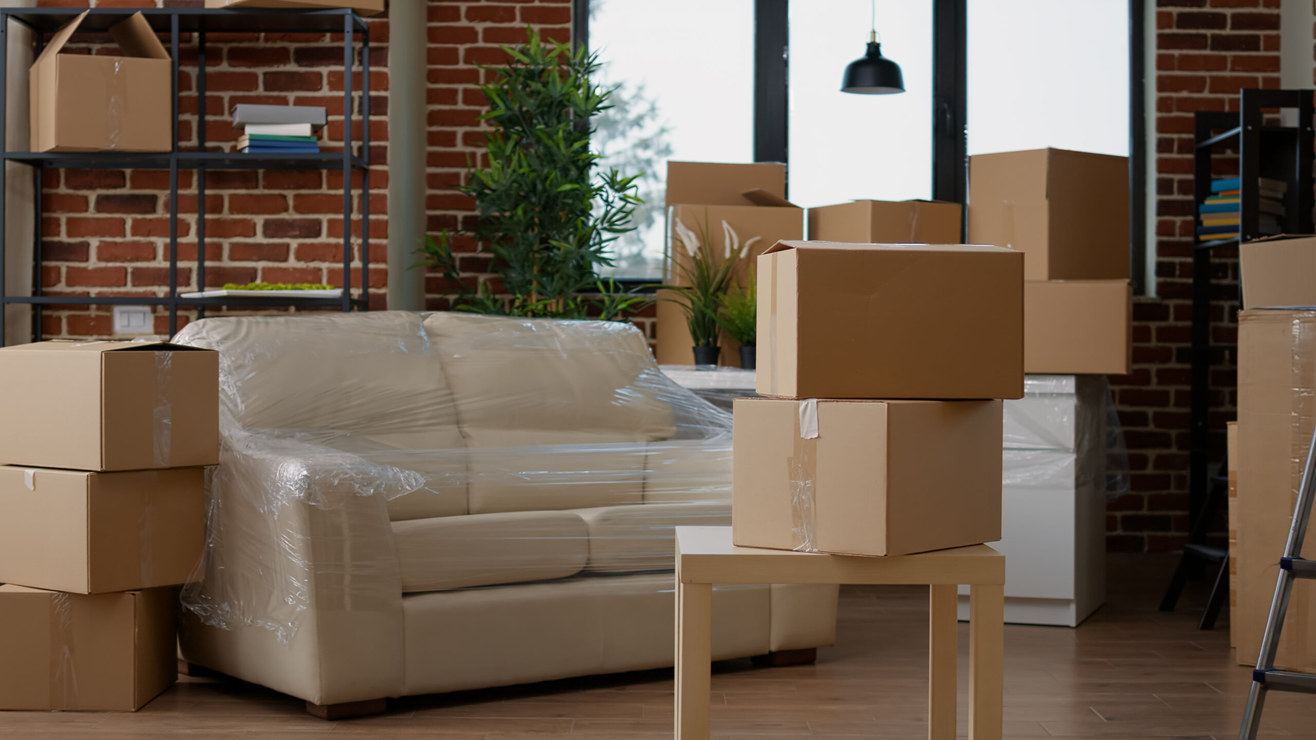 Best Maritime movers